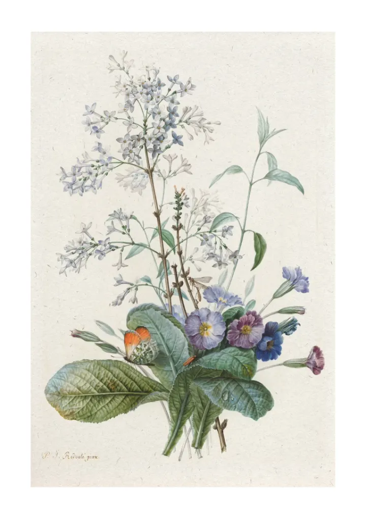 Kytice květin s hmyzem, Pierre Joseph Redouté, ca. 1759-1840